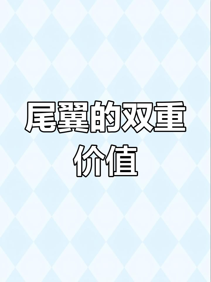 新式空气动力学尾翼：快速与平稳兼得
