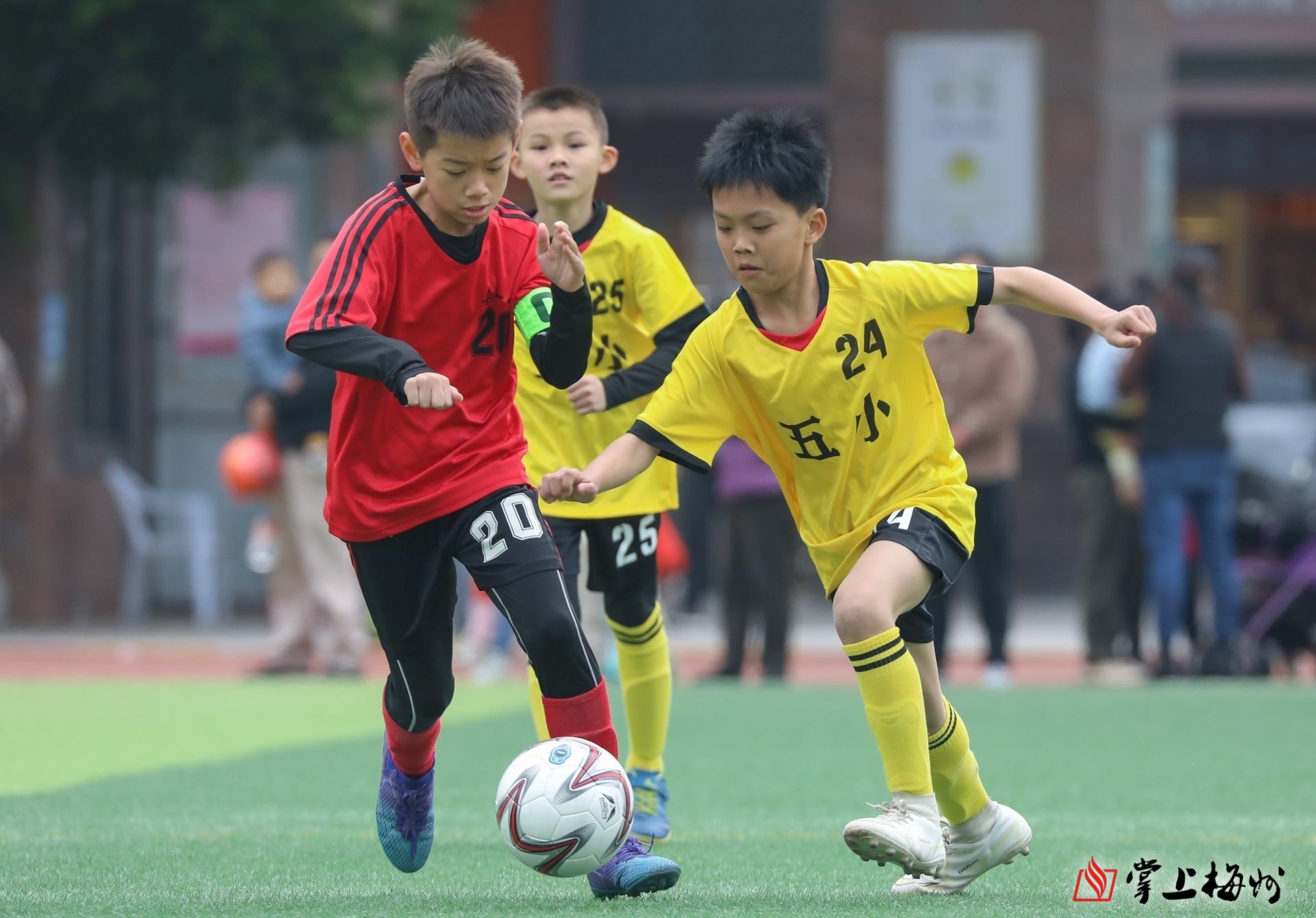 关于青少年足球教育普及大计划正式启动的信息